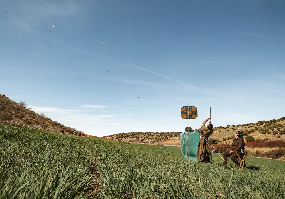 Spanish Partridge Shooting at El Crespo