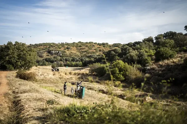 El Crespo - Finest Spanish Partridge Shooting El Crespo - Finest Spanish Partridge Shooting